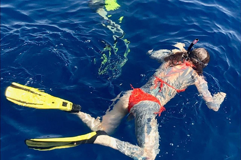 Larnaca: Snorkling på Zenobia- vraket