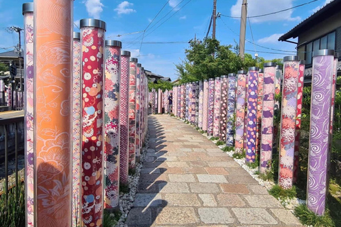 Kyoto/Nara: Must-see Spots in One Day Tour with Hotel Pickup