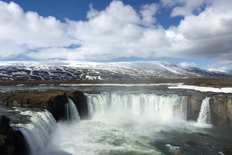 Busstur till sjön Myvatn och Godafoss från Akureyri