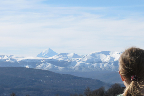 San Martín de los Andes: Private 4x4 Snow Forest Tour