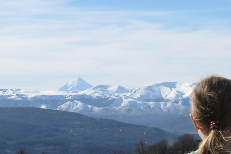 San Martín de los Andes: Private 4x4 Snow Forest Tour