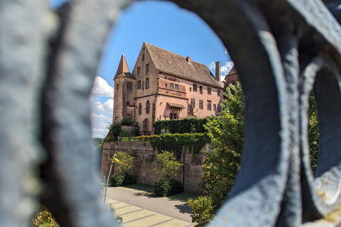 Saverne: Hoogtepunten wandeltour