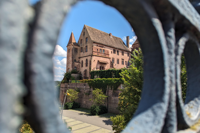 Saverne : visite à pied des points forts