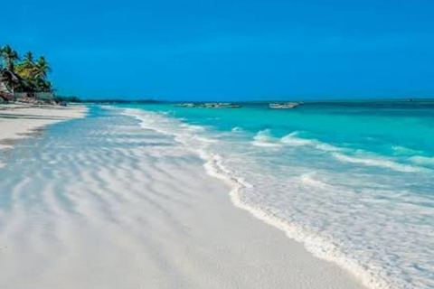 Sansibar: Kiwengwa-Wald- und Strand-TourSansibar: Kiwengwa-Wald und Strand-Tour