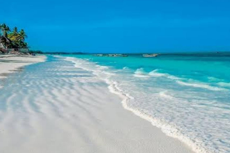 Sansibar: Kiwengwa-Wald- und Strand-TourSansibar: Kiwengwa-Wald und Strand-Tour