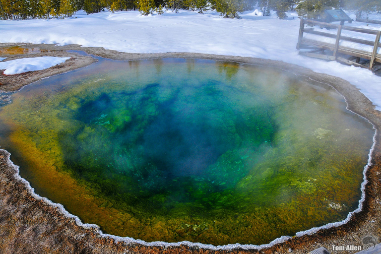 Salt Lake City: 4-Day Yellowstone & Grand Teton Winter Tour