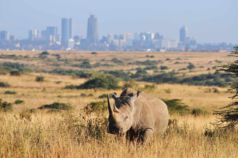Nairobi National Park Private Safari in 4 x 4 Jeep