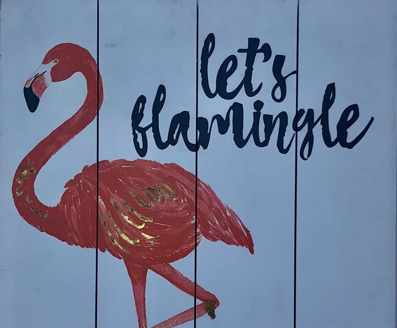 West Palm Beach, crucero de la hora feliz Flamingle - Hizvo
