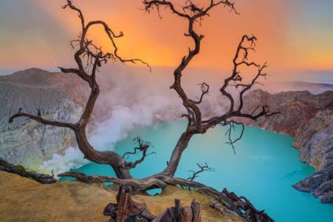 Explore Banyuwangi 3 day 2 night