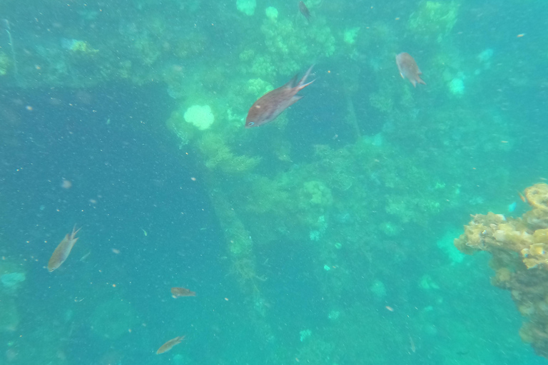 ARRECIFE Y PECIO - SNORKEL JAPONÉS DE LA WWII Y JARDÍN DE CORAL