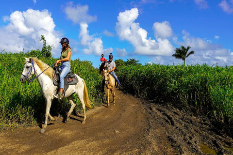Punta Cana: Los Haitises Park, Horseback Ride & Lunch Tour