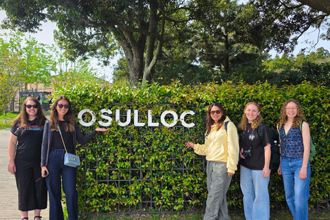 Jeju: UNESCO WestSouth & East Highlights 2 Days Combo Tour