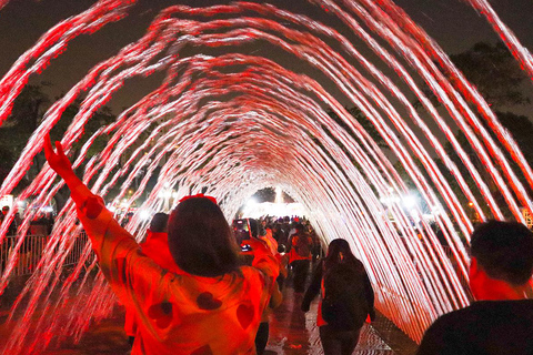 Lima: tour de la ciudad, cena y visita al Circuito del Agua de MaigcLima: tour de la ciudad + Circuito de Aguas del Maigc