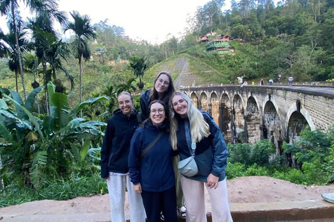 Scenic Highland Journey: Private Transfer from Kandy to Ella