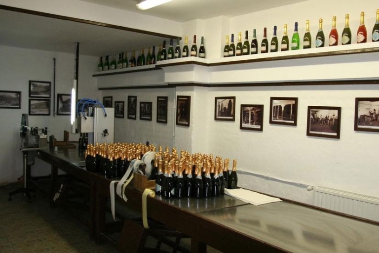 Peles Castle & Wine Tasting Tour - een hele dag vanuit BoekarestTour van een hele dag