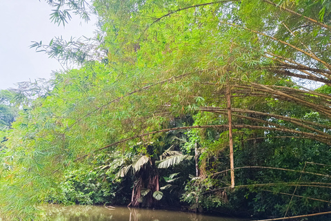 Experiência de 3 horas pelos canais do Parque Nacional.