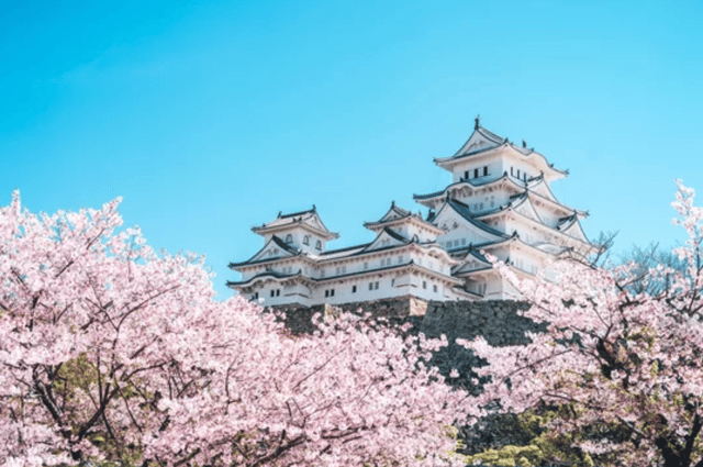 Himeji Private Custom Tour with Local Guide