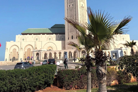 From Marrakech: 10-Day Morocco Highlights Tour