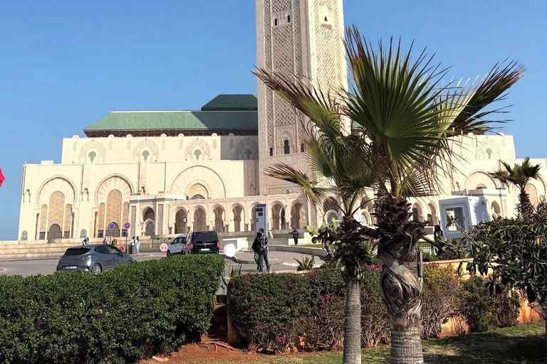 From Marrakech: 10-Day Morocco Highlights Tour