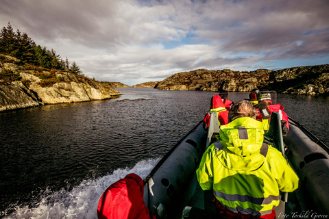 Haugesund : Tour en bateau avec visite de l&#039;île