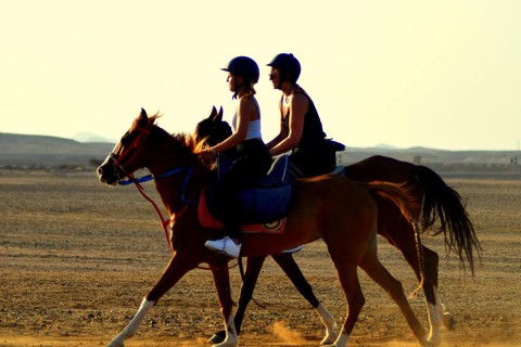 Marsa Alam: Zonsondergang te paard met diner, show &amp; sterrenkijken