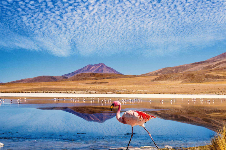 4D/3N SAN PEDRO DE ATACAMA-UYUNI (TUR OCH RETUR) DELAD TJÄNST