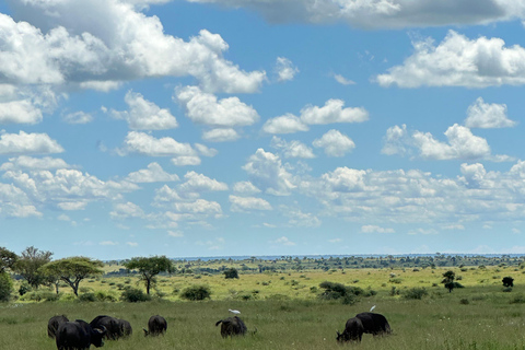 4-Days Group Safari Tour Tarangire, Serengeti & Ngorongoro 4-Days Group Safari Tarangire, Serengeti & Ngorongoro