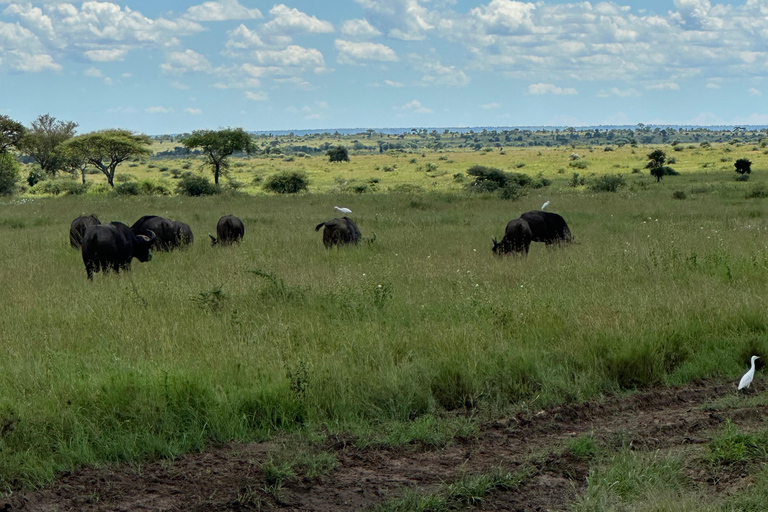 4-Days Group Safari Tour Tarangire, Serengeti & Ngorongoro 4-Days Group Safari Tarangire, Serengeti & Ngorongoro