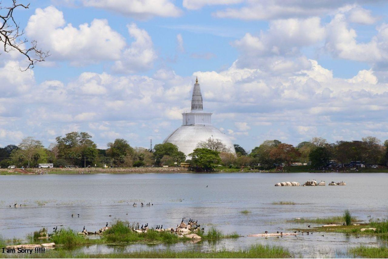 Anuradhapura, Dambulla, Sigiriya Tour with Sigiriya Drop-off