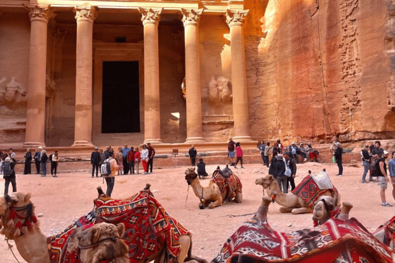 Passeio de um dia inteiro de Amã a Petra com passeio a cavalo no deserto