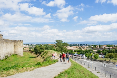 Depuis Toulouse : excursion d'1 journée à Carcassonne