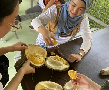 Penang: Tropical Fruit Farm Ticket