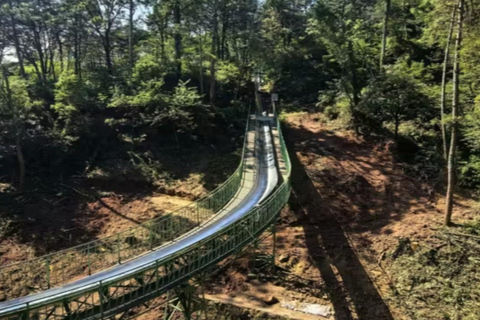 Sichuan: Lushan Mountain Entry Ticket Free Access + Upward Cableway + Downhill Slide