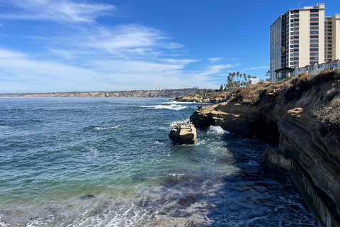 Visite privée de 5 heures de San Diego à bord d&#039;une Lexus ES300H