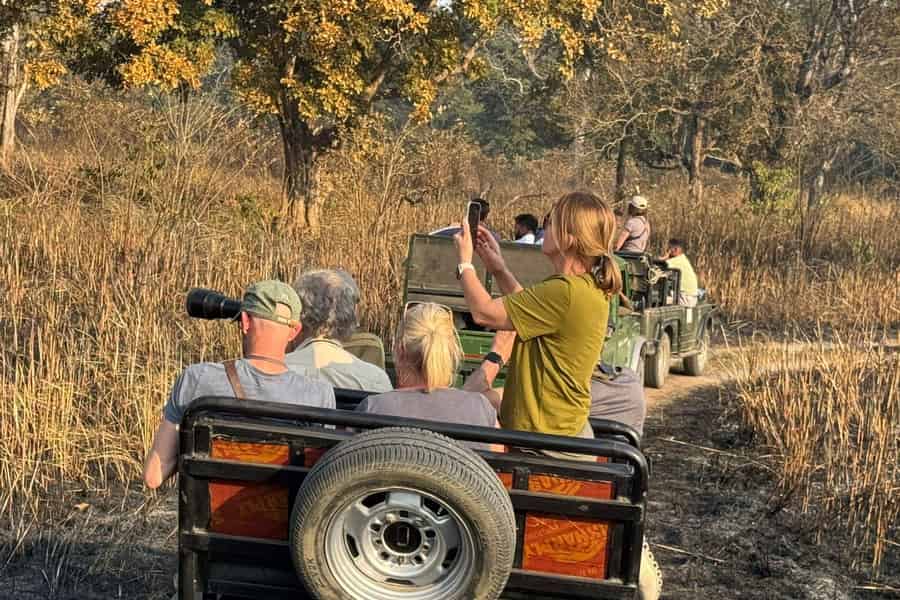 Kathmandu: 3-tägige Chitwan-Safari-Tour mit Hoteltransfers. Foto: GetYourGuide