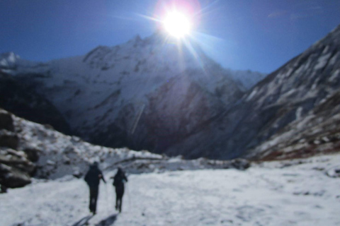 From Pokhara: 5 Day Annapurna Basecamp Trek with Local Guide