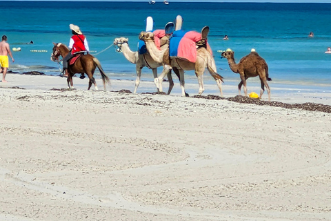 Djerba: 30-minute Express Camel Ride - Ideal for Children