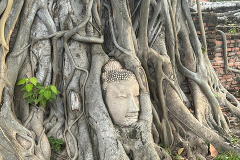 Ayutthaya Private Tour with Buddies: Temples & Cruise