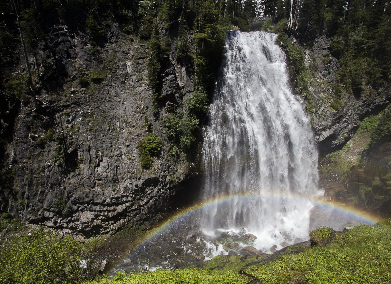 Seattle: Mount Rainier Park All-Inclusive tur med en lille gruppe