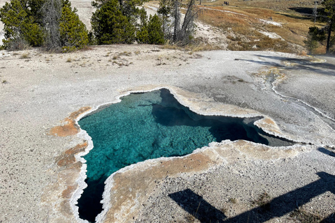Yellowstone Tours from Jackson Hole | Wildlife & Scenic