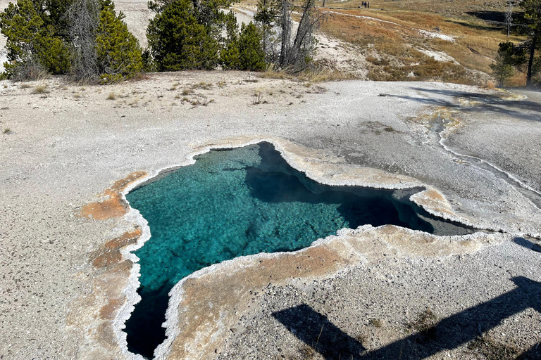 Yellowstone Tours from Jackson Hole | Wildlife & Scenic