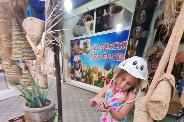 正宗杰尔巴：日落马车之旅和东方小吃正宗杰尔巴岛：日落马车之旅和免费东方小吃