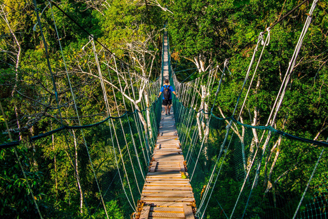 Puerto Maldonado: Sandoval and Parrot Clay Lick 3 Days