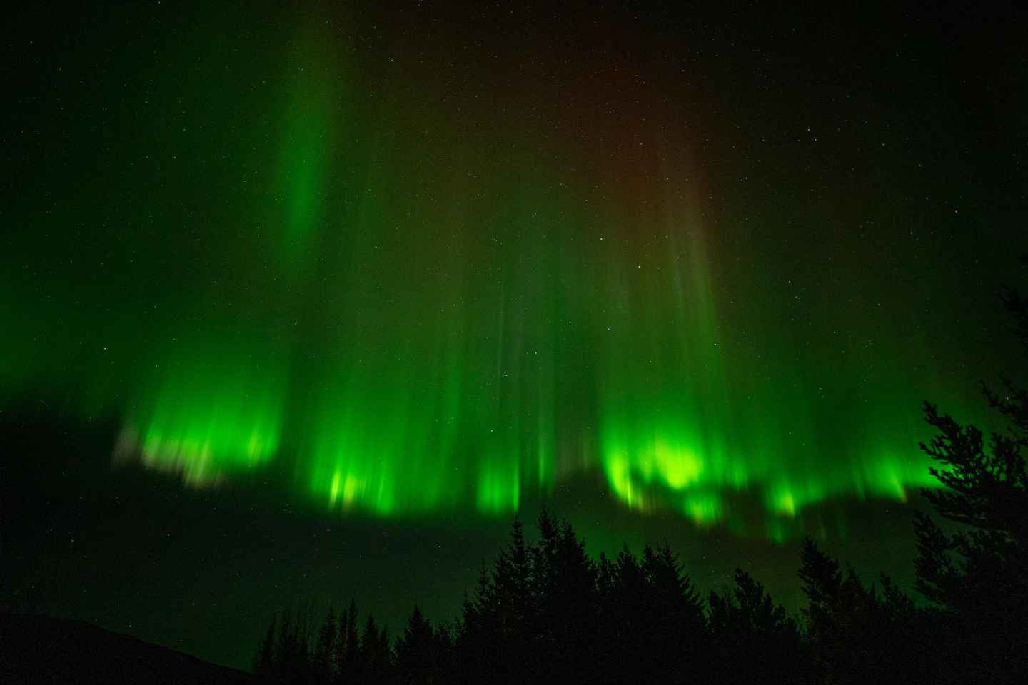 Northern Lights in Mini Bus, Photos, Hot Cocoa and Pastries