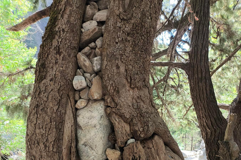 Chania: Samaria Gorge Private Experience–Full Day Adventure