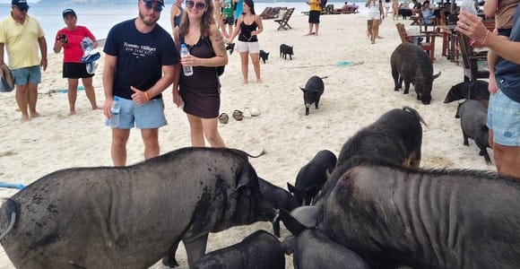 Koh Samui: Pig Island & Koh Tan Snorkeling w/Viewpoint Hike