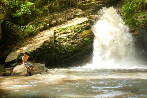 Chiang Mai: Jungle Jumbo Elephant Sanctuary with Waterfall