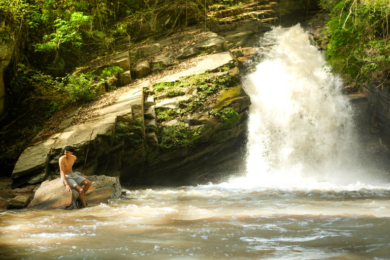 Chiang Mai: Jungle Jumbo Elephant Sanctuary with Waterfall