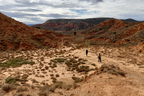 From Valencia: Hiking Tour of The Red Canyon of Teruel