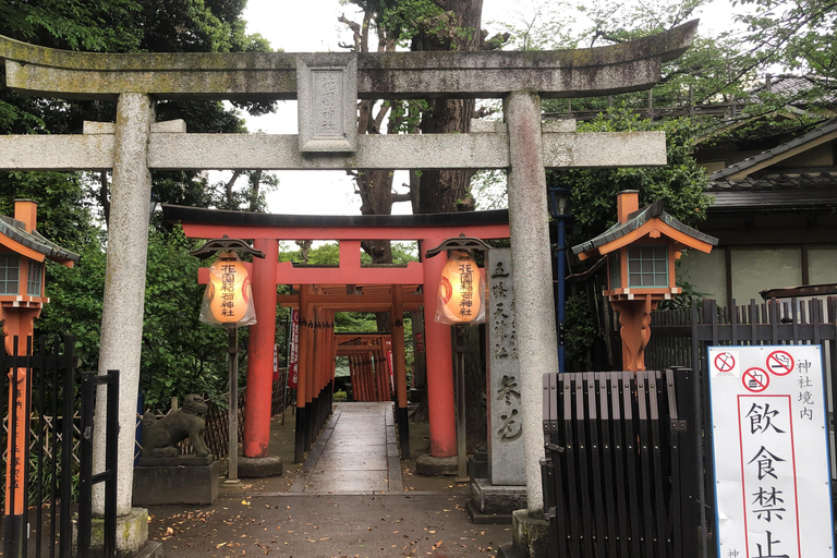 Explore Tokyo Your Way: 5h Private Customizable Walking tour